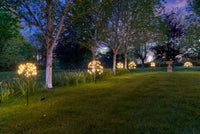 Lumina Of London Dandelion Solar LED Indoor / Outdoor Light