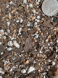Sol Soil (2Qt) Houseplant Chunky Mix (Aroid/Tropical Mix)