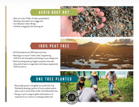Sol Soils Succulent Gritty Mix Potting Soil 1 Gallon (4Quarts)