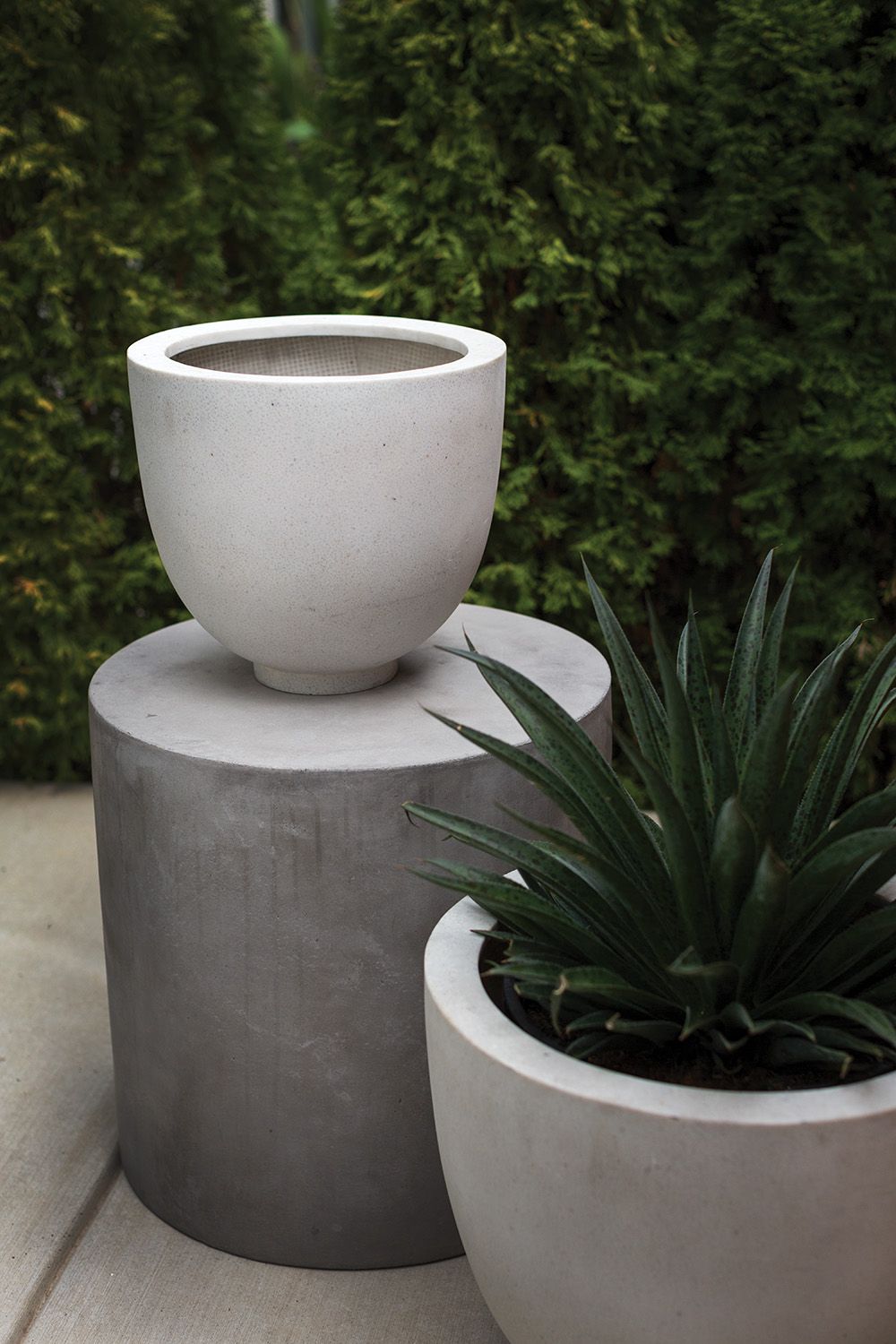 Bandani Pot