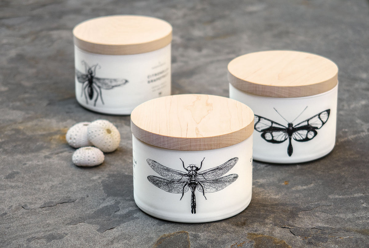 SKEEM Citronella Eucalyptus Triple-Wick Candle