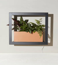 Modern Sprout Standard Grow Frame - Emerald, Matte Black