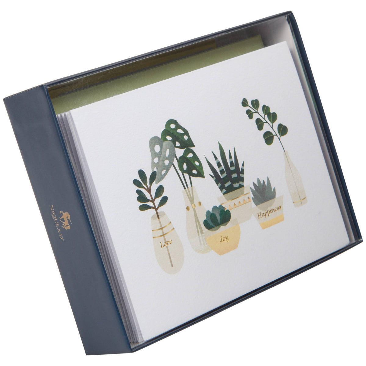 NIQUEA.D - Houseplants Thank you Boxed Cards