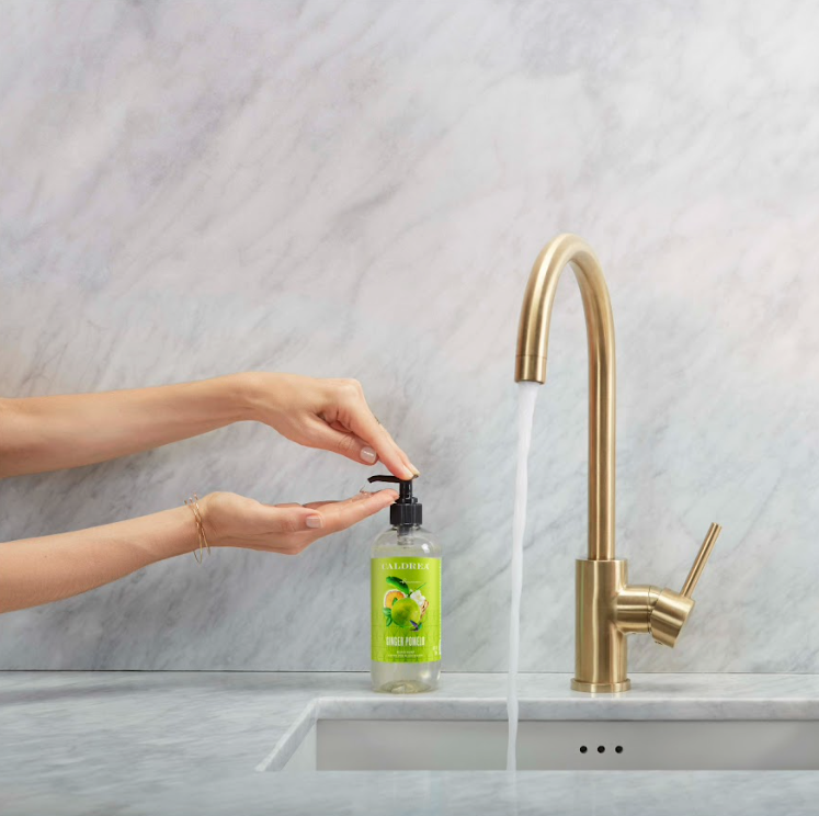 Caldrea Ginger Pomelo Hand Soap with Aloe Vera & Olive Oil