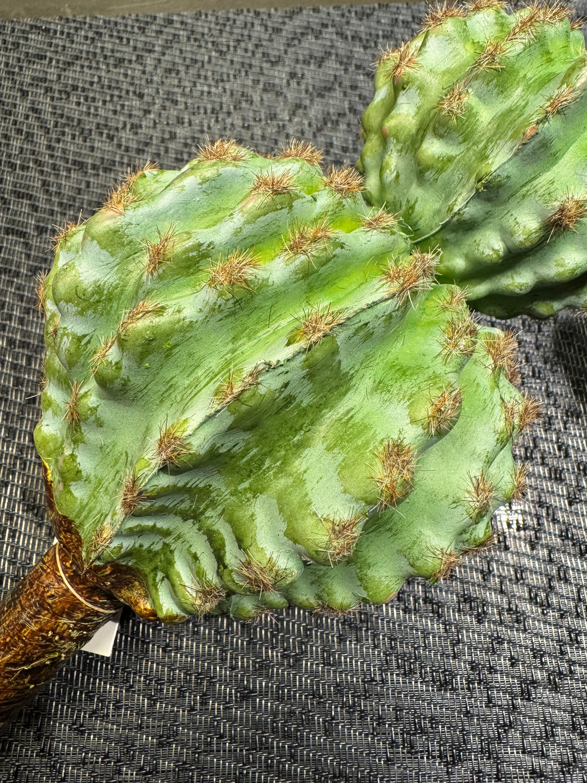 Artificial Double Barrel Cactus Stem 14.5"