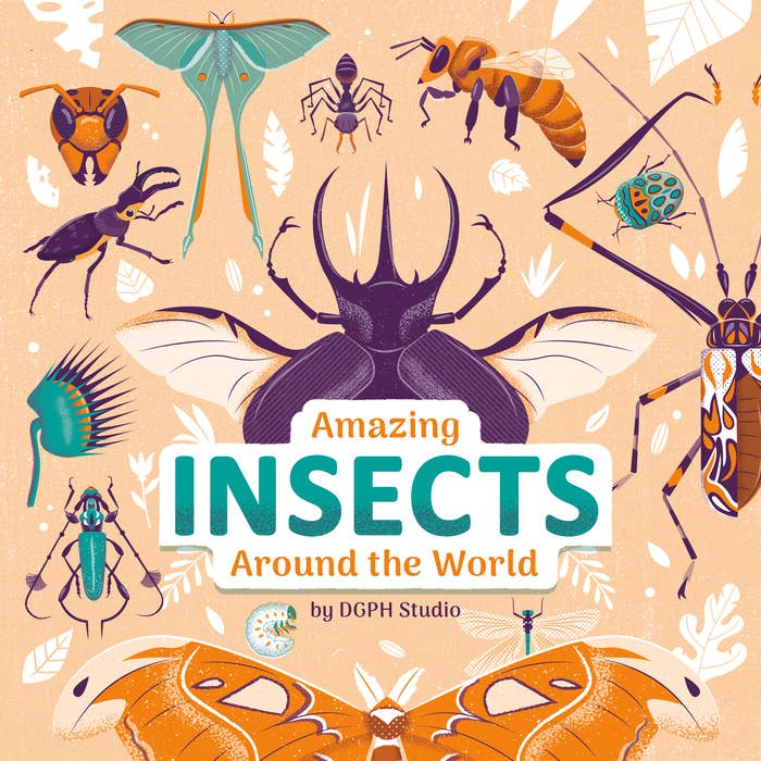 Amazing Insects Around World by Dgph Studio