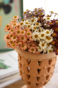 Chamomile Bundle - White / 6 Stems