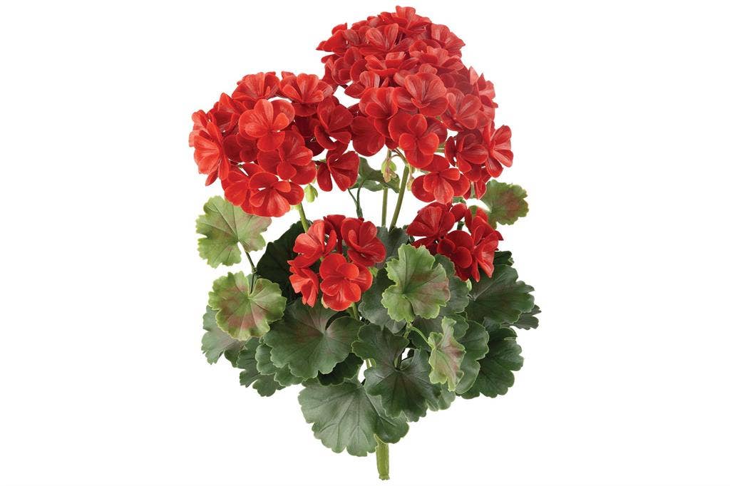 Faux Geranium Bush - Red / UV Resistant