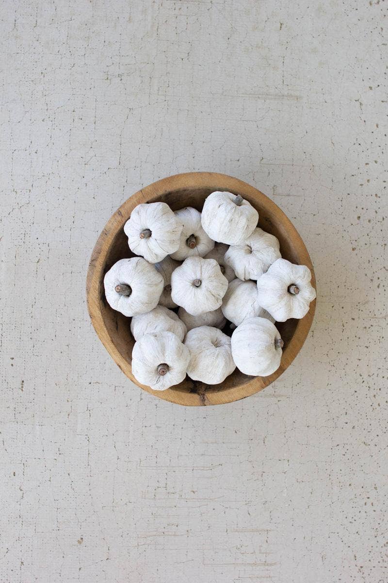 White Faux Dried Mini Pumpkins