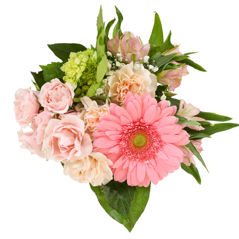 Affection Fresh Floral Bouquet / Valentines Day 2026