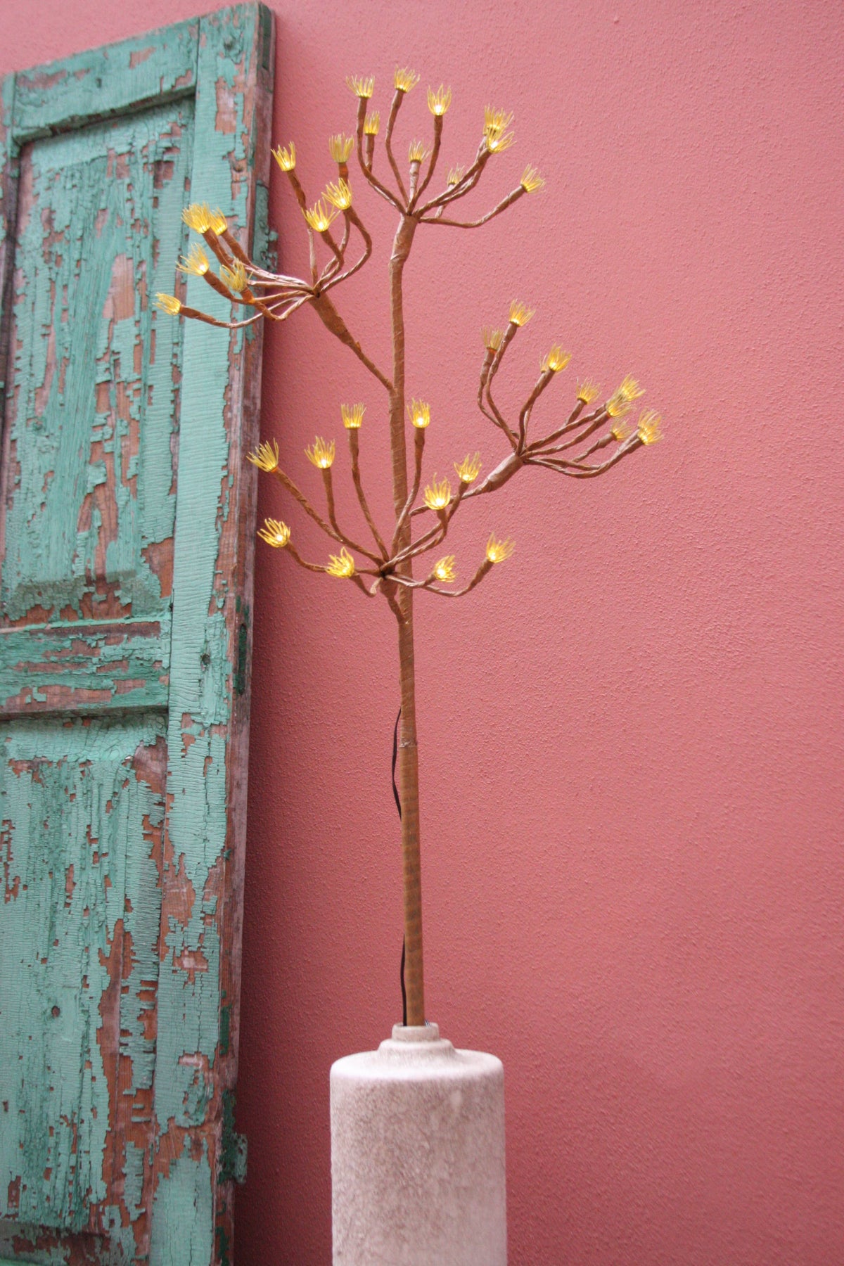 Solar Fennel Branch