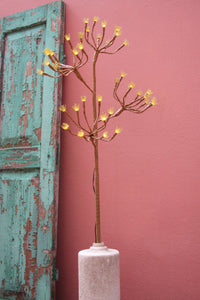 Solar Fennel Branch