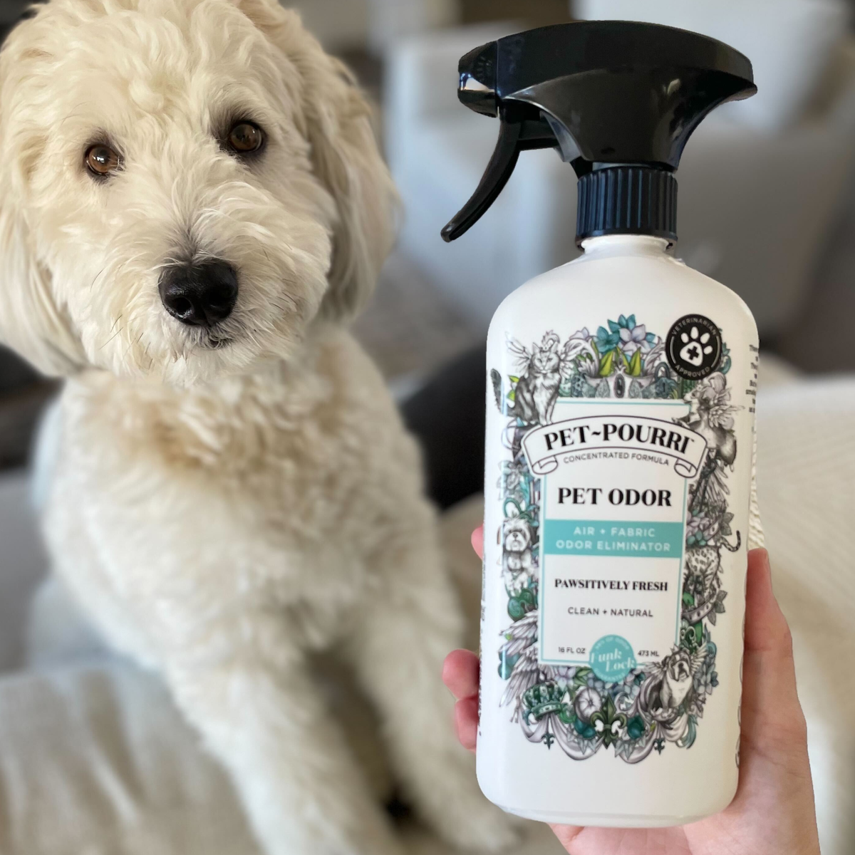 Pet~Pourri Pawsitively Fresh Air+Fabric Odor Refresher 16 oz.