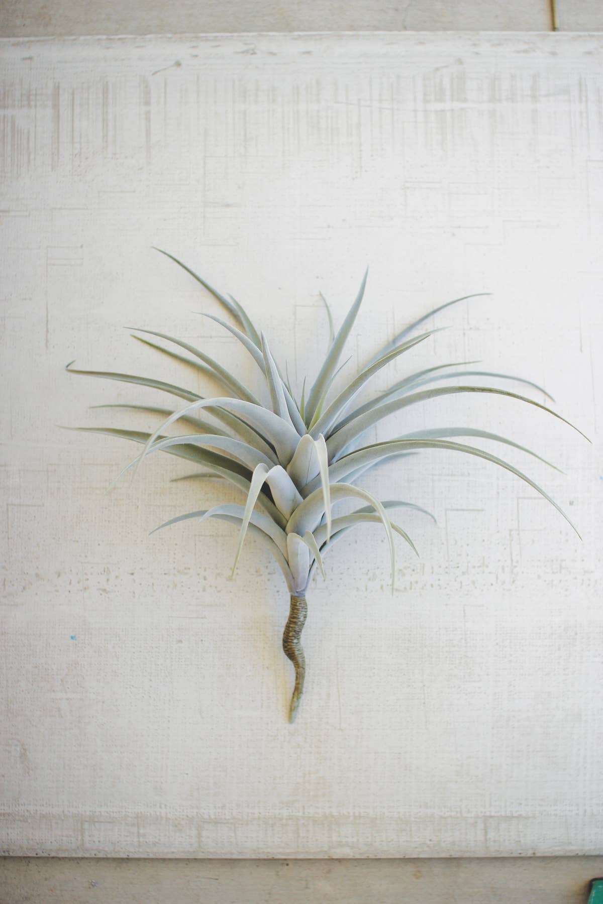 Giant Artificial Air Plant