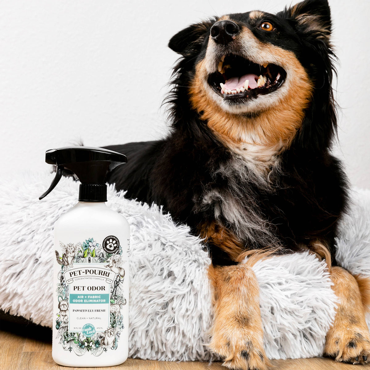 Pet~Pourri Pawsitively Fresh Air+Fabric Odor Refresher 16 oz.