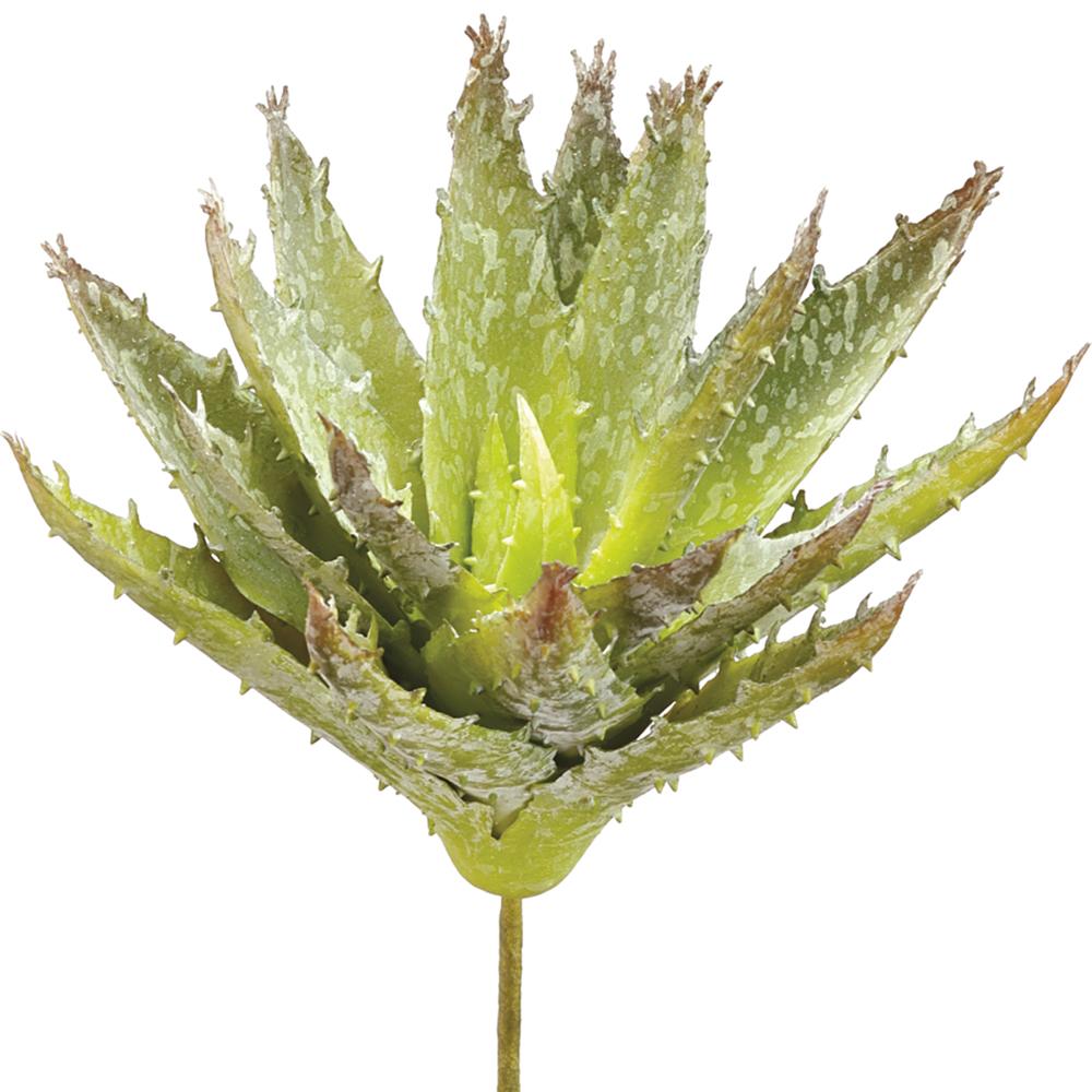Aloe Stem Real Touch - 6.5" / Green