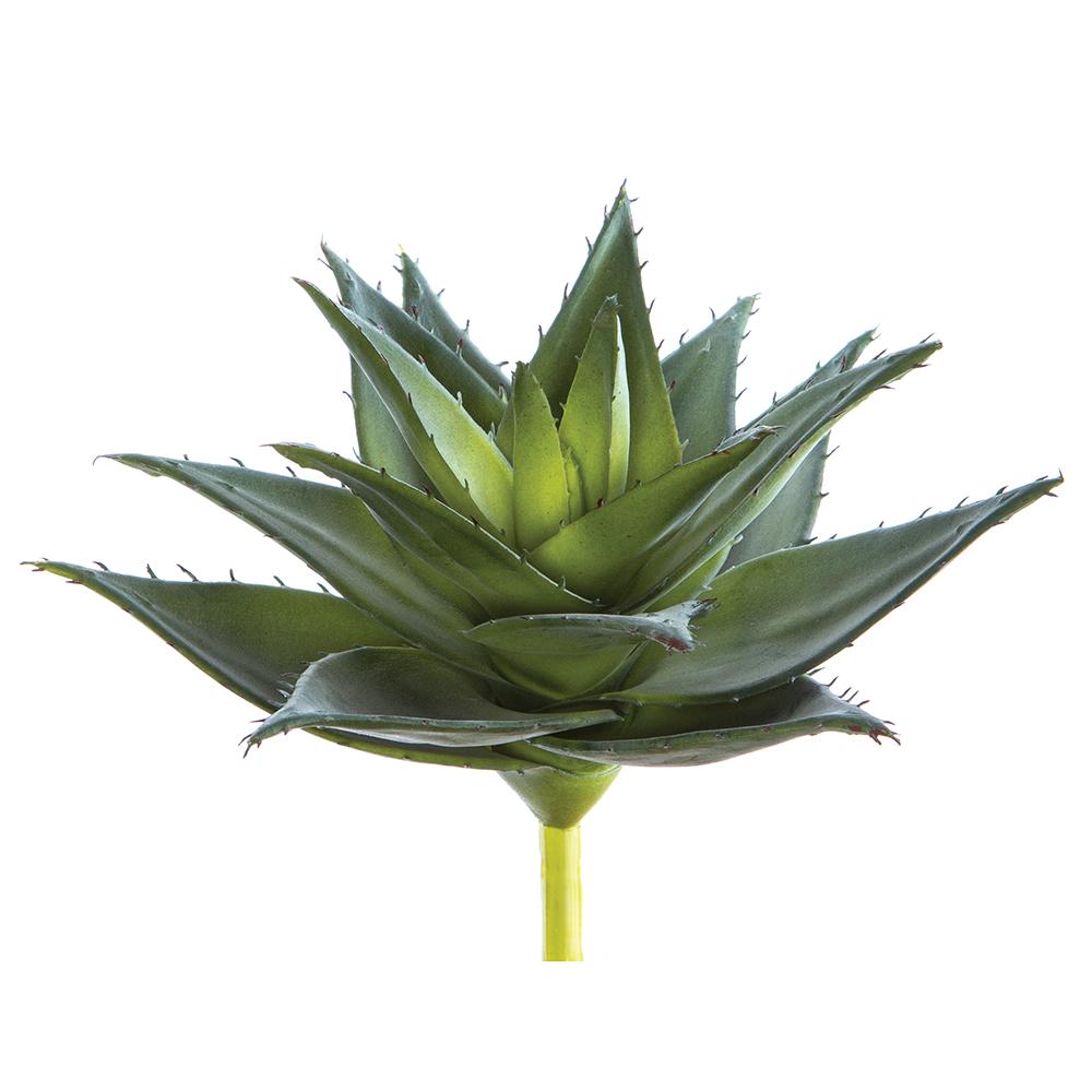 Agave Plant Real Touch - 8.5" / Green