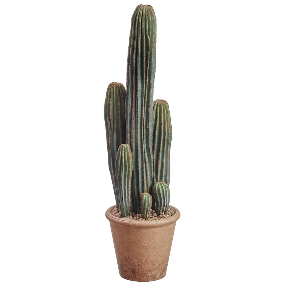 Column Cactus in Paper Mache Pot - 26" / Green
