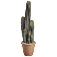 Column Cactus in Paper Mache Pot - 26" / Green