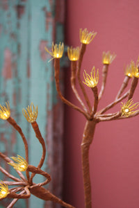 Solar Fennel Branch