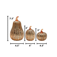 Gold Mercury Glass  Battery-Operated Pumpkins - Set of 3