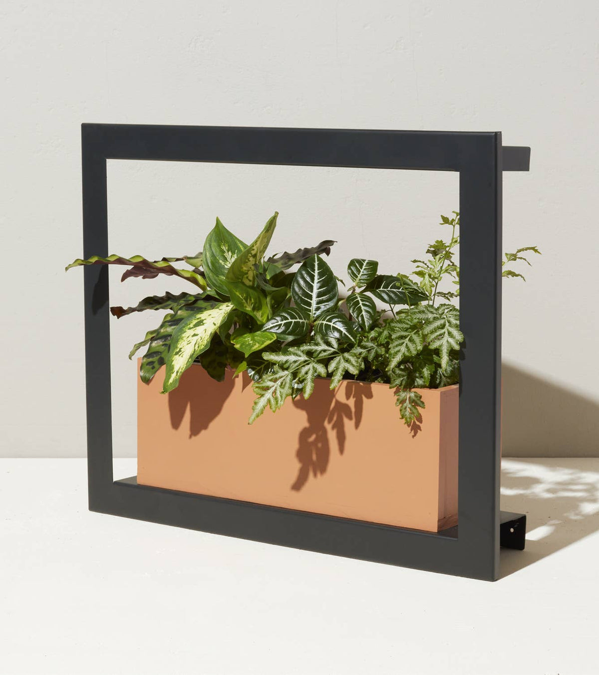 Modern Sprout Standard Grow Frame - Emerald, Matte Black
