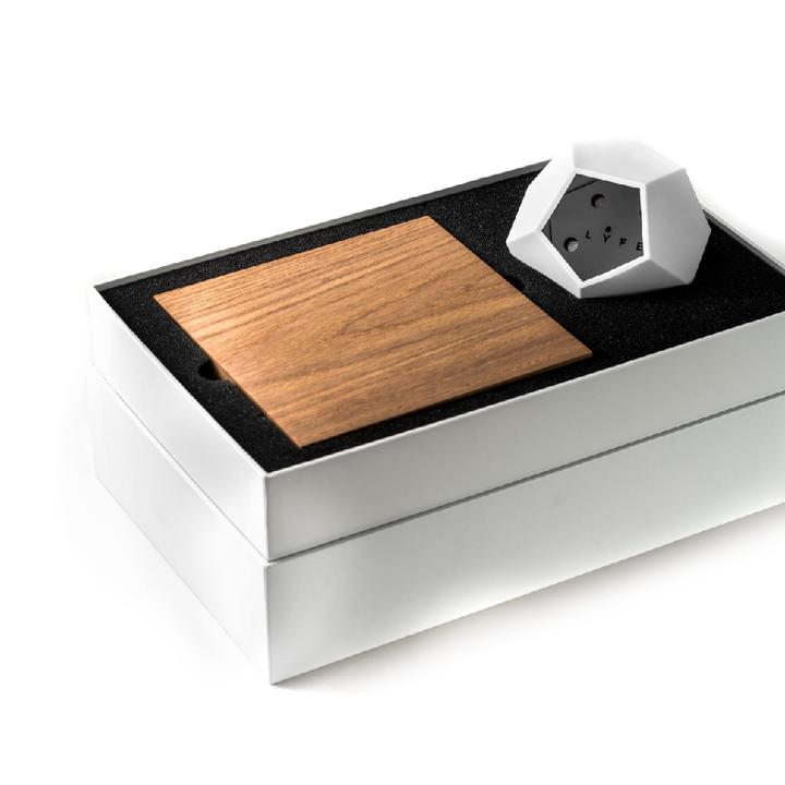 Flyte Lyfe The Levitating Planter - Thumbnail 4