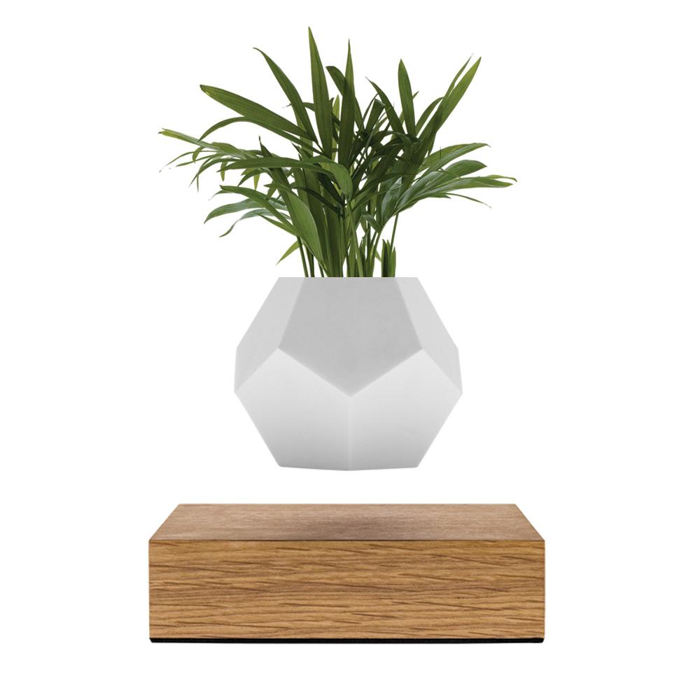 Flyte Lyfe The Levitating Planter - Thumbnail 2