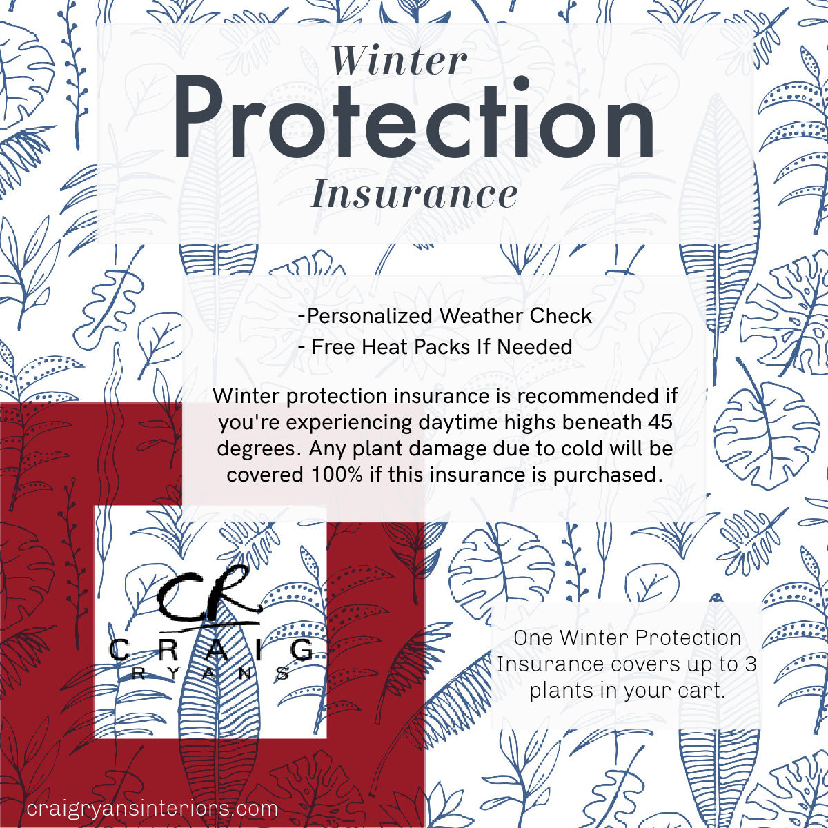 CRAIG RYANS Winter Protection Insurance